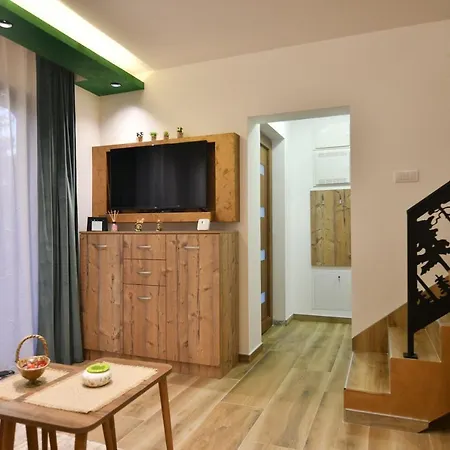 Chalet Brvnara Mont 4